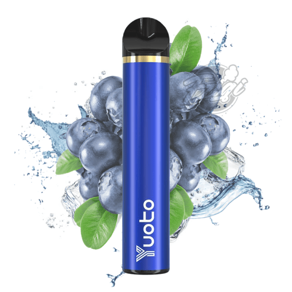 YUOTO 1500 - BLUEBERRY